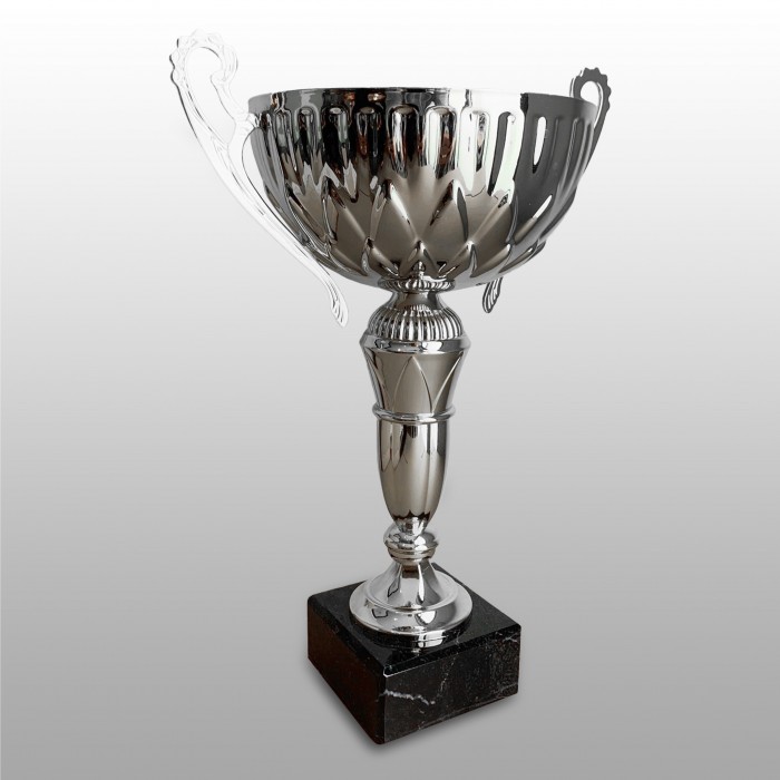 SILVER HANDLED TROPHY CUP ON SILVER RISER AVAILABLE IN 3 SIZES